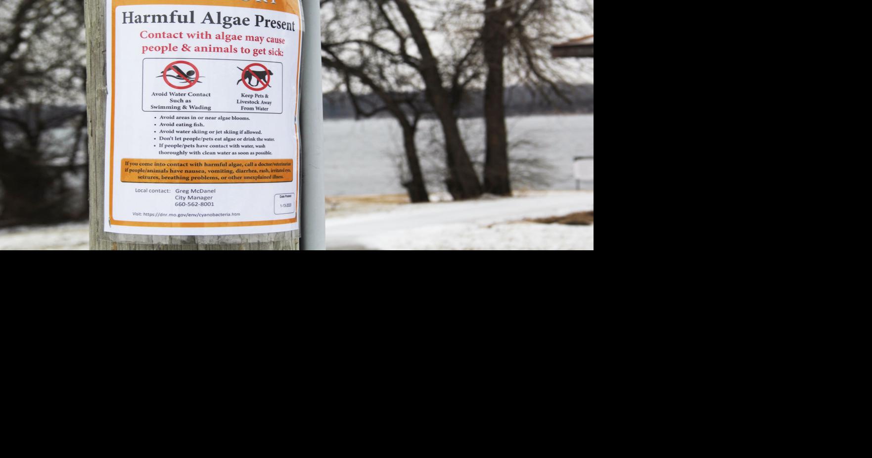 City Treated water is safe to drink Community Maryville Forum