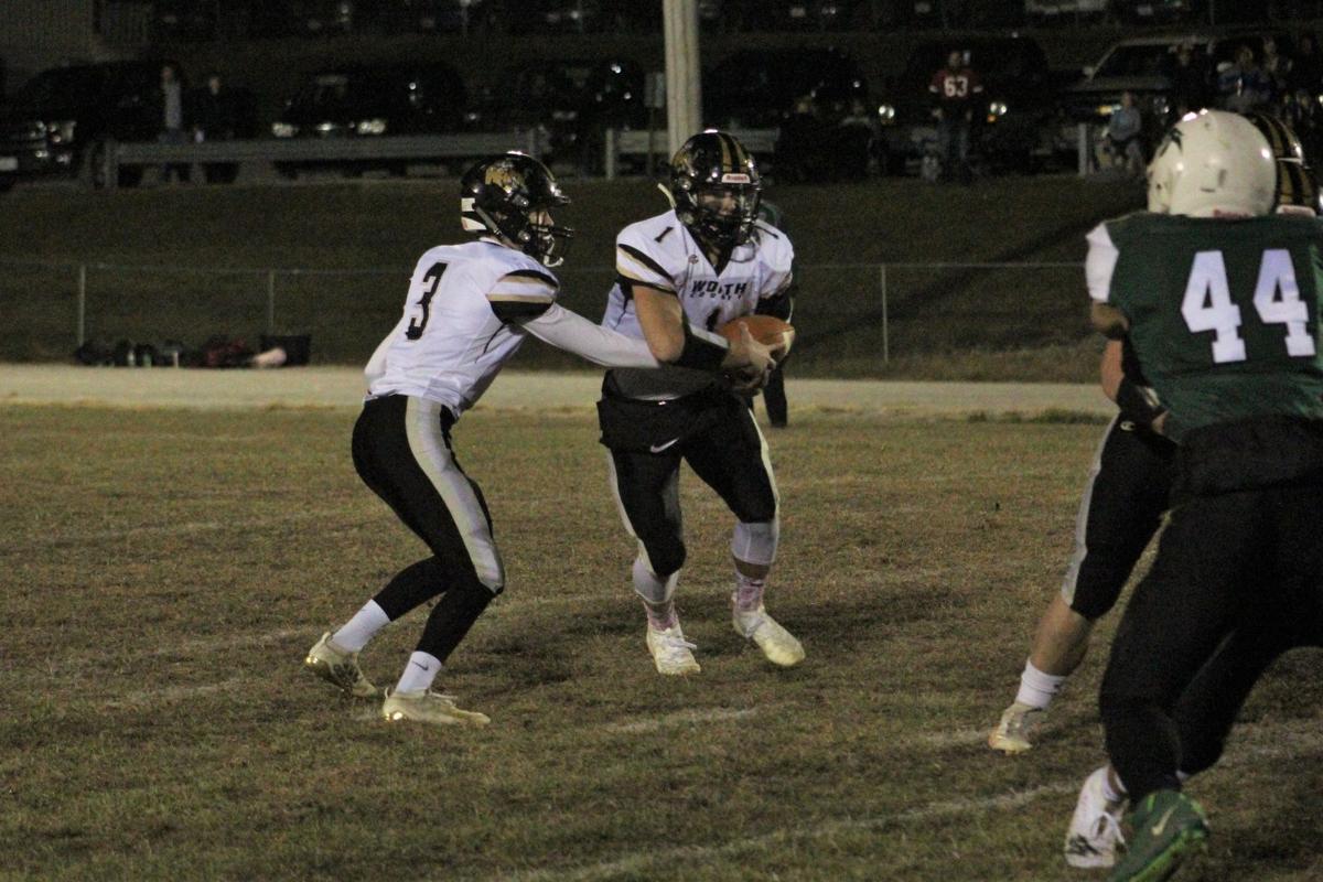 Youthful Tigers Fall To Senior Led Panthers In District