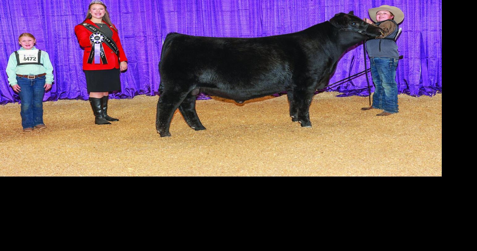 Thummel bulls win big at Cattlemen’s Congress Angus Show | News ...