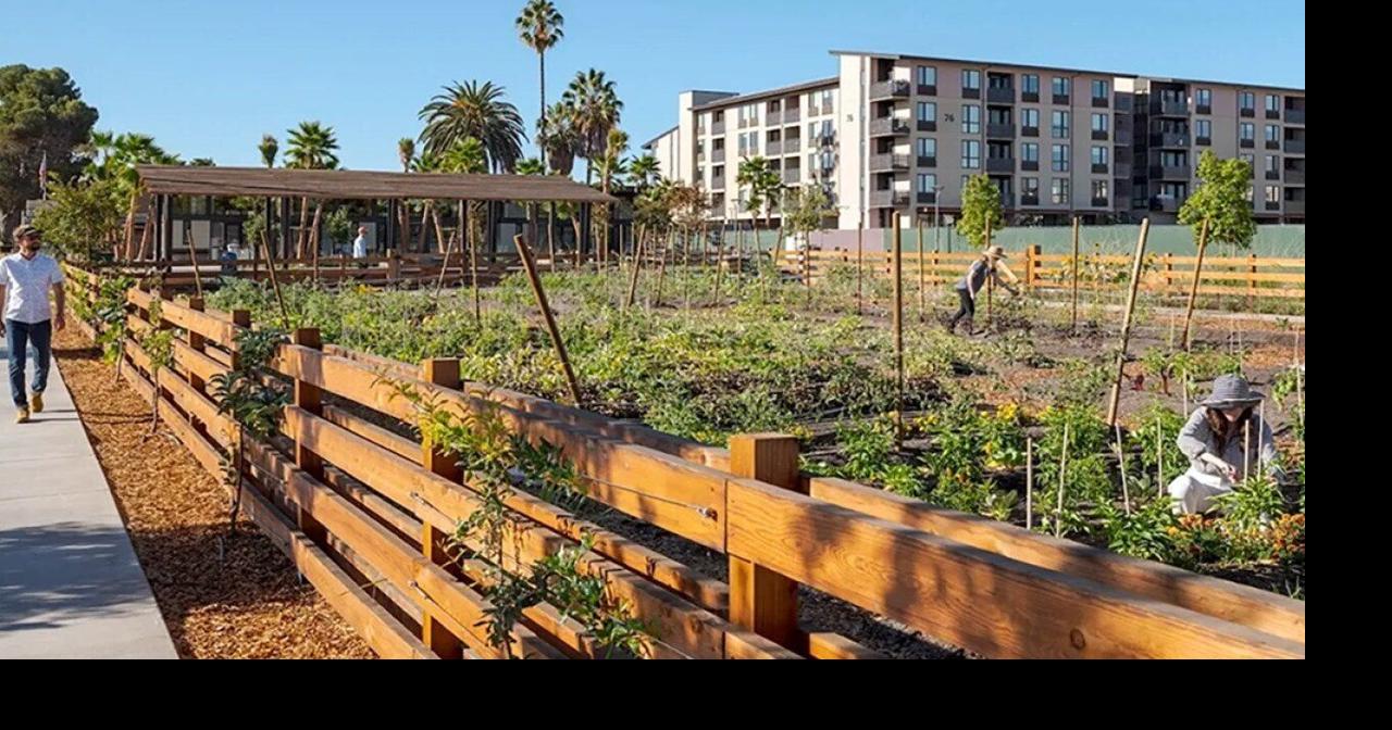 What happens when a neighborhood is built around a farm