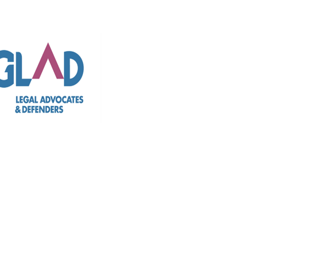GLBTQ Legal Advocates & Defenders announces new board members and newly ...