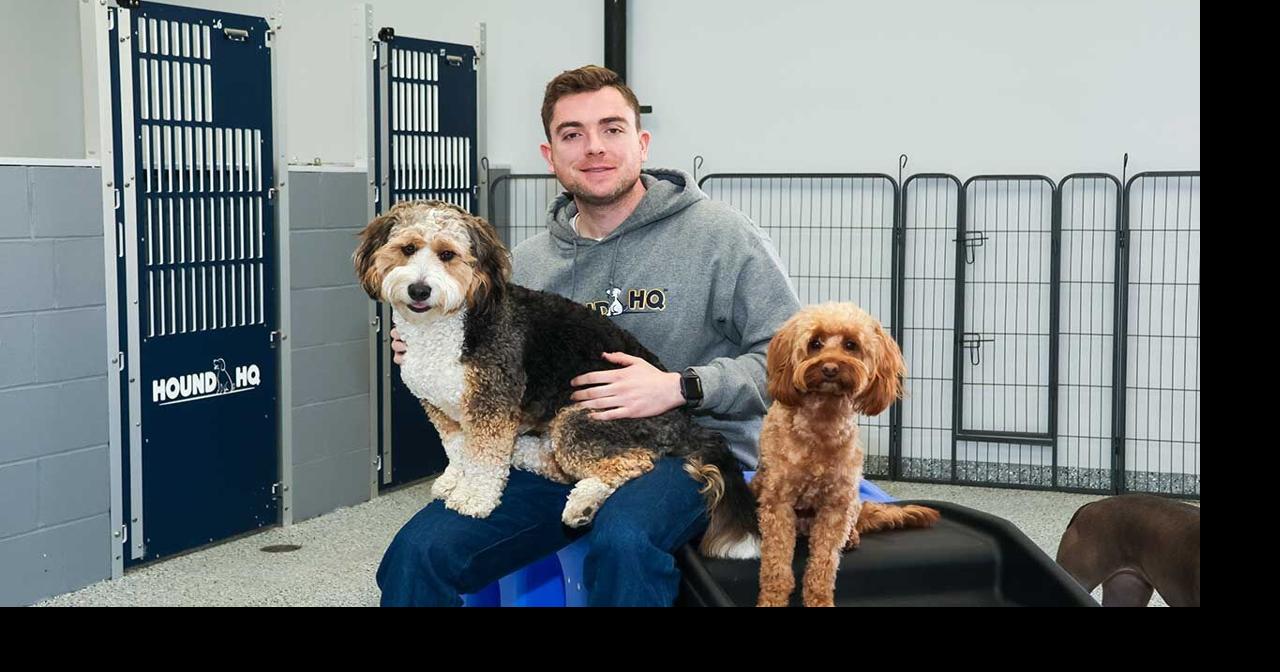 Hound HQ: A Journey from Investment Banking to Doggy Daycare | Featured ...