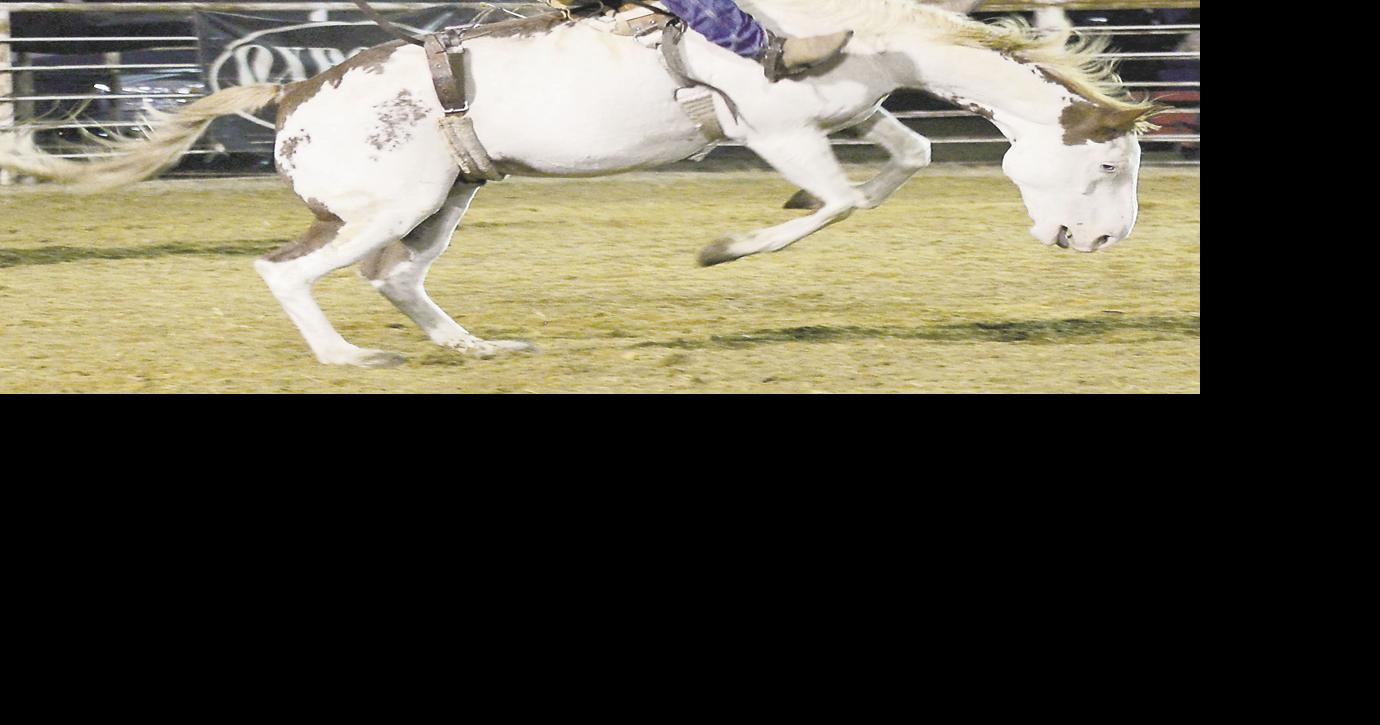 Pittsburg County Free Fair wraps up another year News