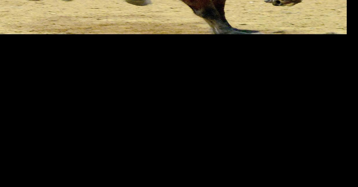 Rodeo a hit in McAlester News