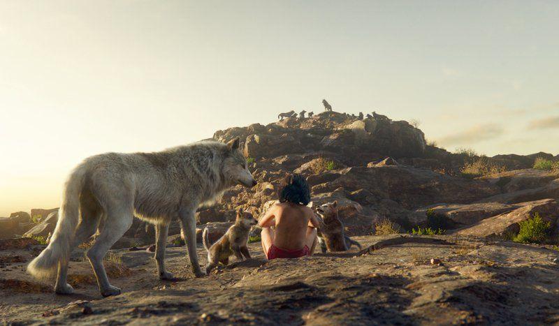 The Jungle Book A Modern Twist On Old Classic Lifestyles Mcalesternews Com The jungle book (fiction, 1894, 146 pages). the jungle book a modern twist on old
