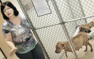 The search is on for a new director for the Pittsburg County Animal Shelter  | News 