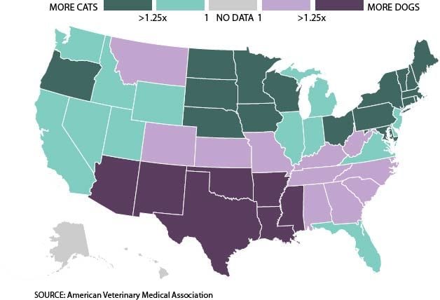 are cats or dogs more popular in the world