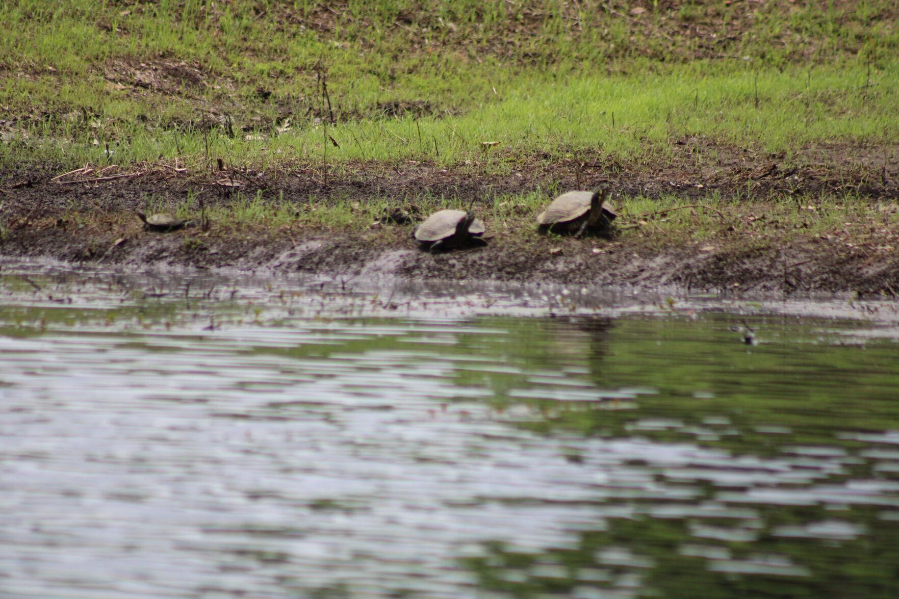 McAlester's 16 parks offer lots of activities — with more on the way