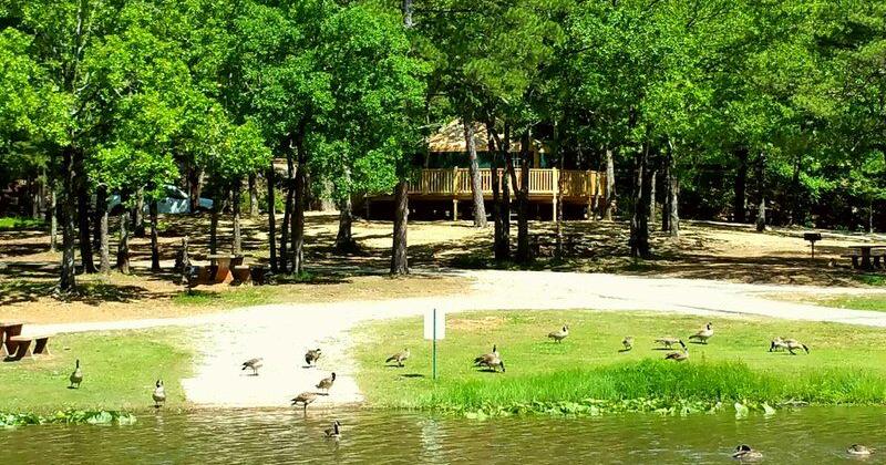 Bill seeks to eliminate state park entrance fees for Oklahoma residents - Vimarsana News
