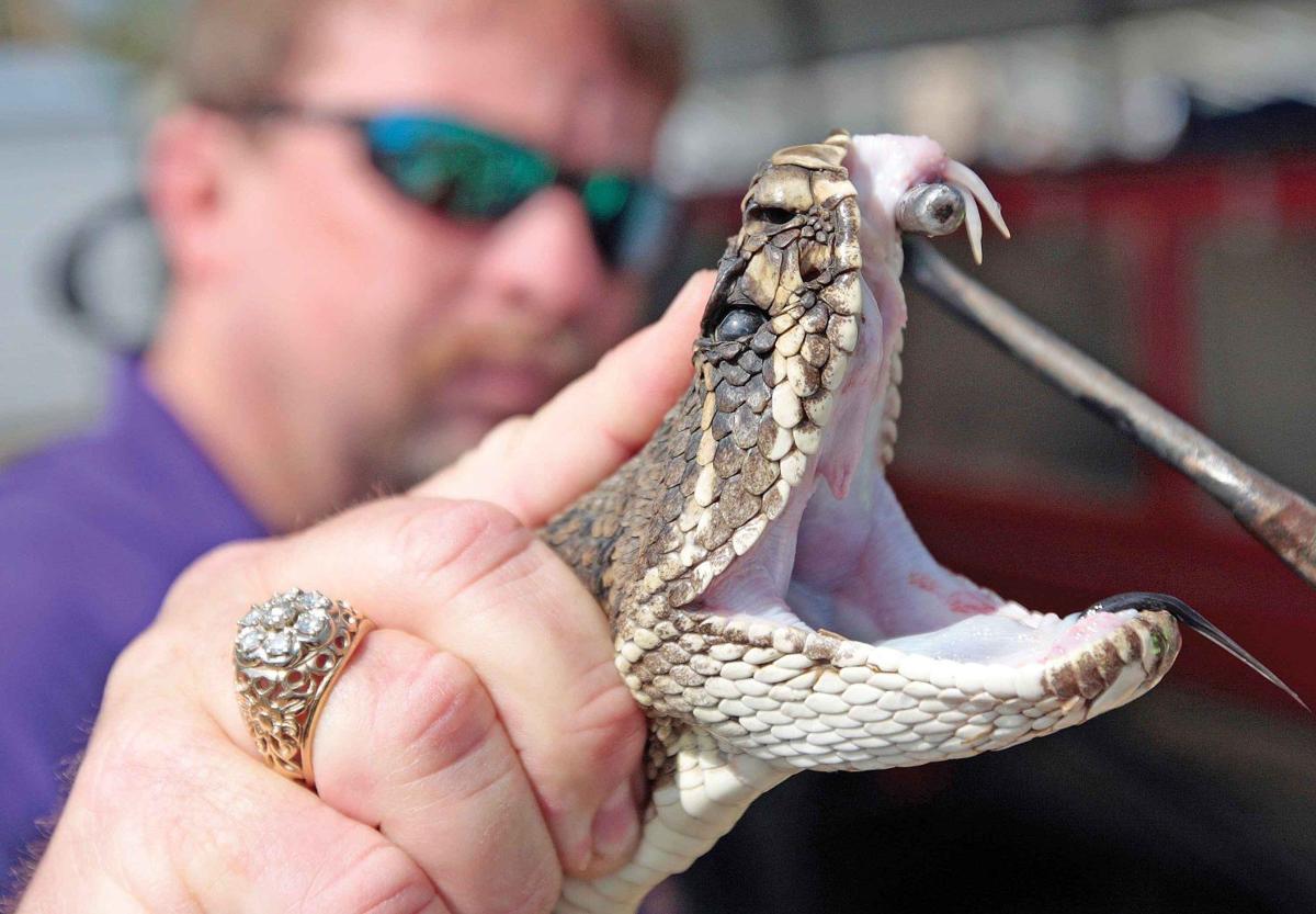 Mangum Rattlesnake Festival 2022