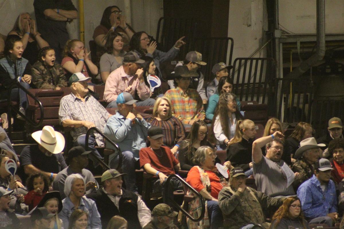 ProRodeo 1