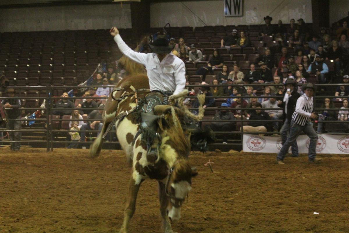 ProRodeo 4