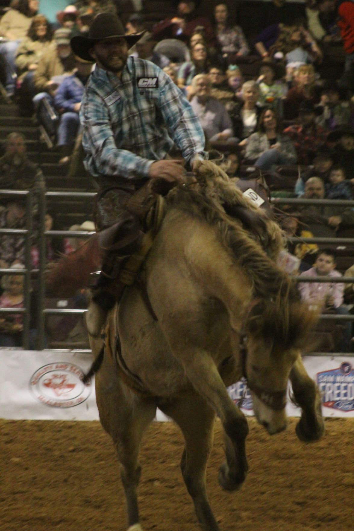 ProRodeo 5