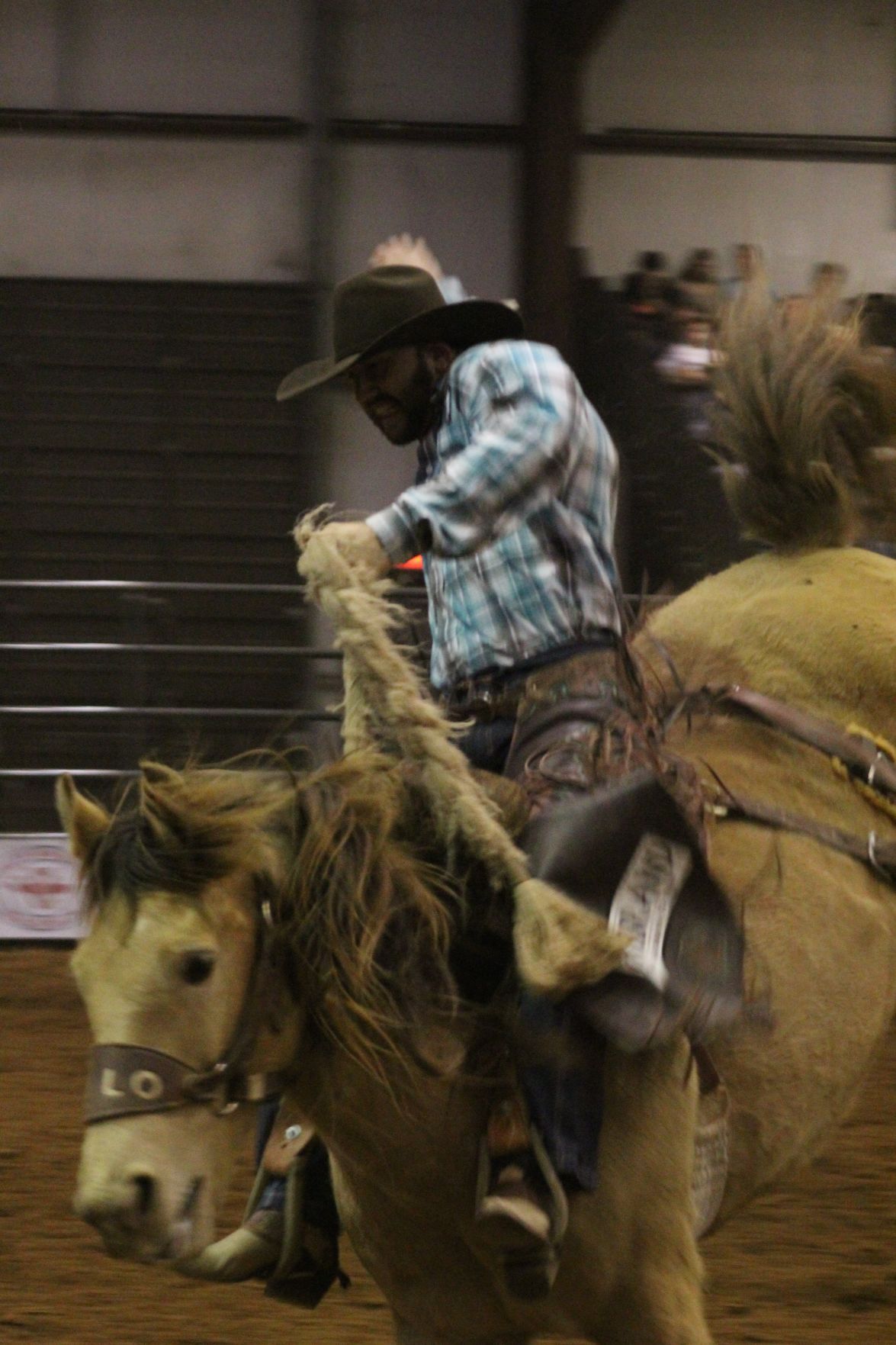ProRodeo 3