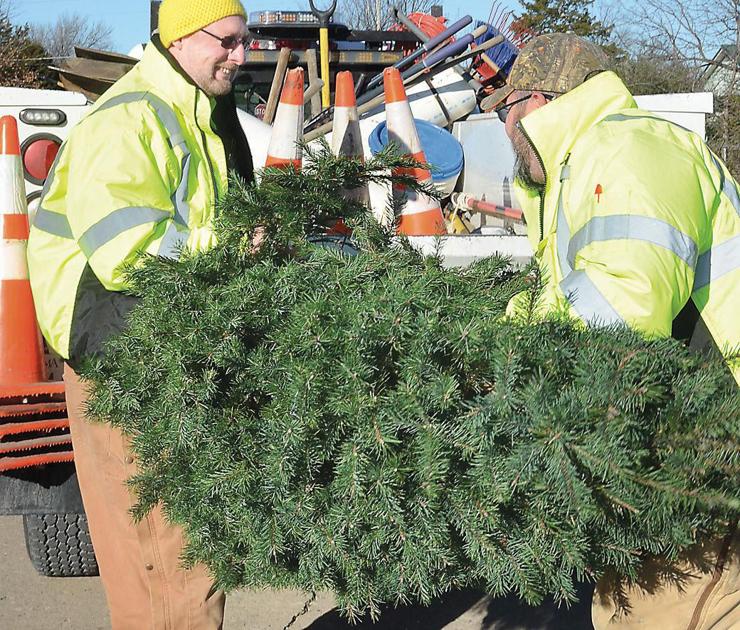 City offers Christmas tree pickup, disposal program Local News