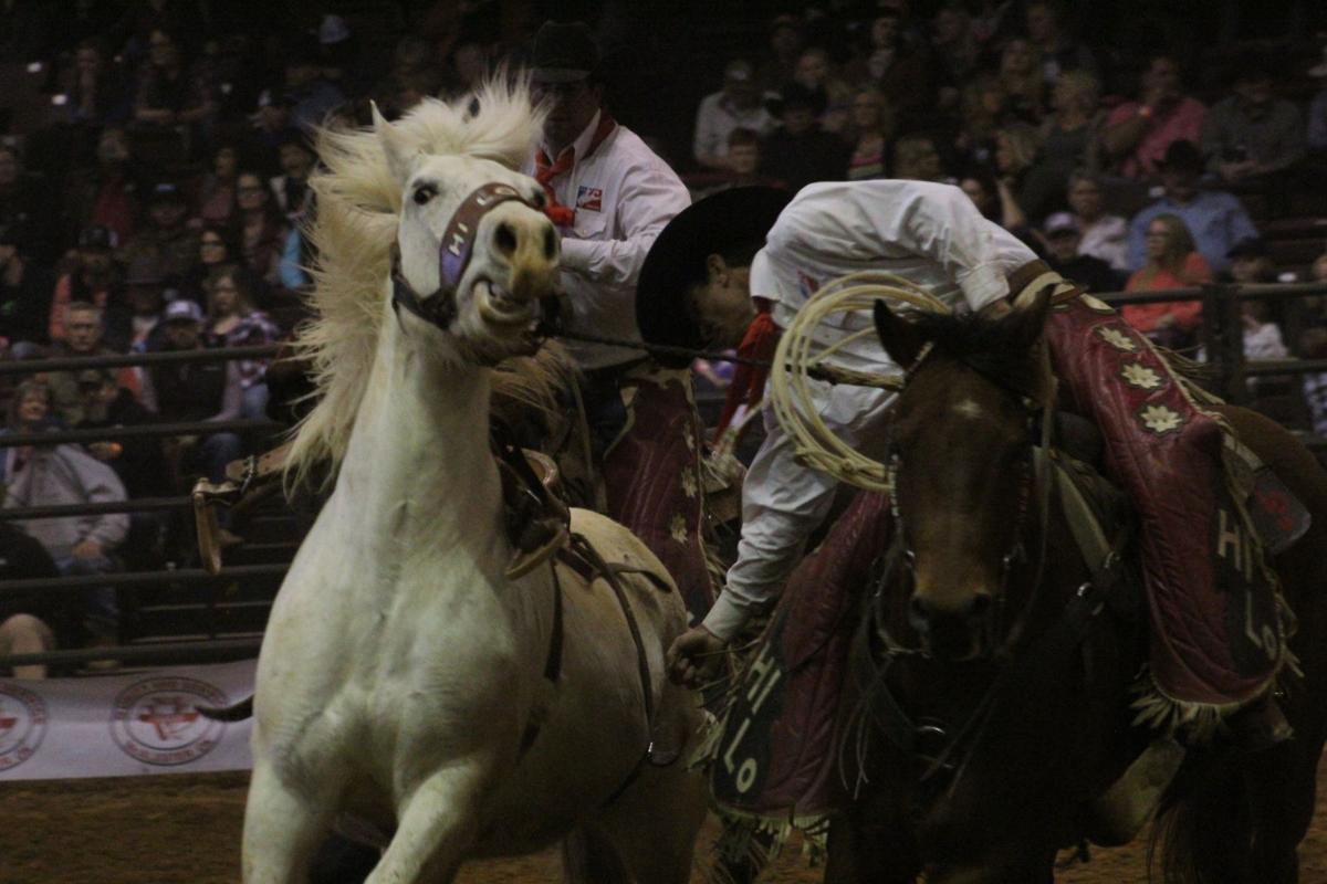 ProRodeo 6