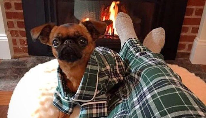 his and hers and dog matching pajamas
