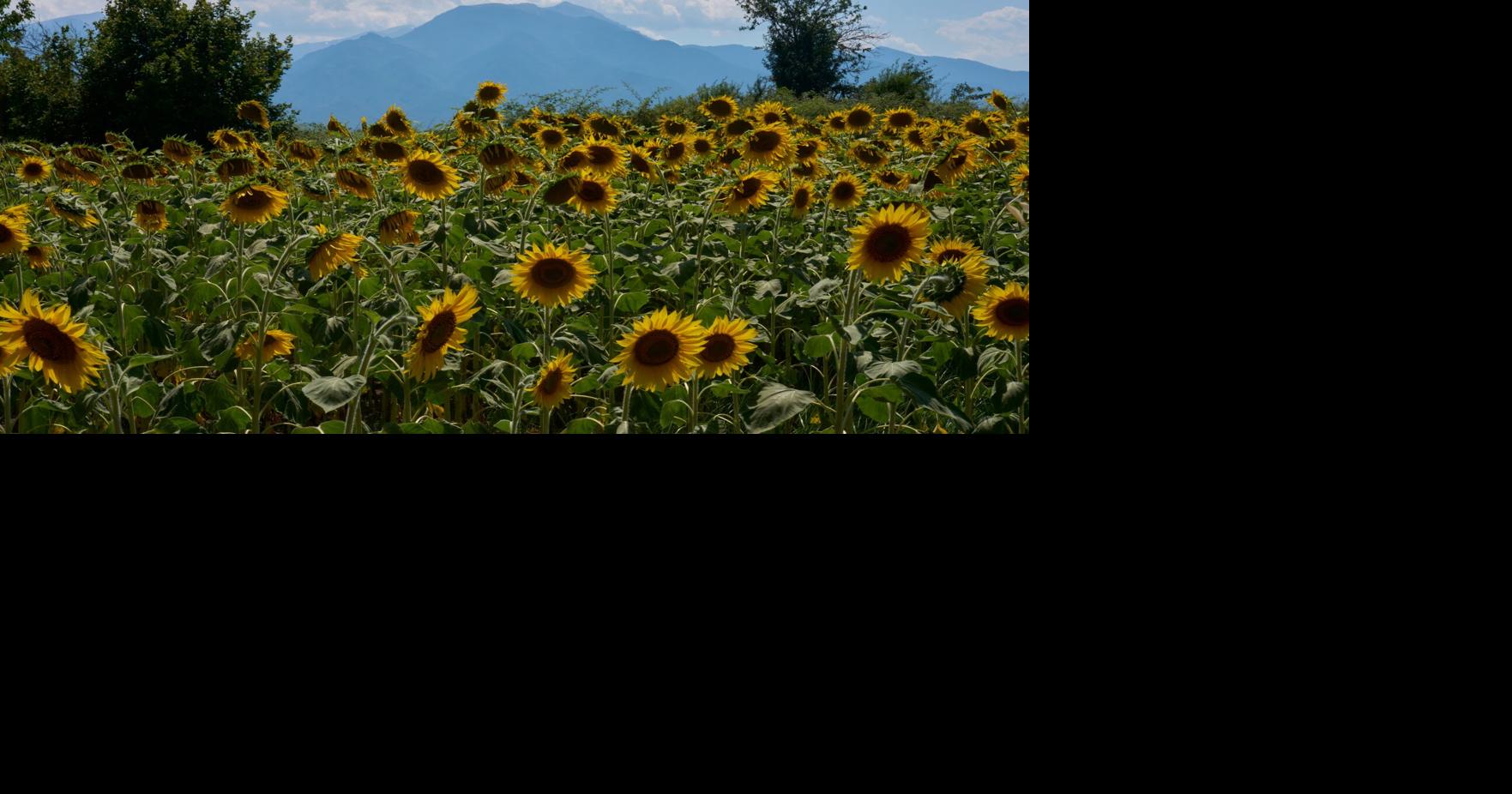 Mount Olympus, home of the ancient Greek gods, is a candidate for the UNESCO World Heritage List