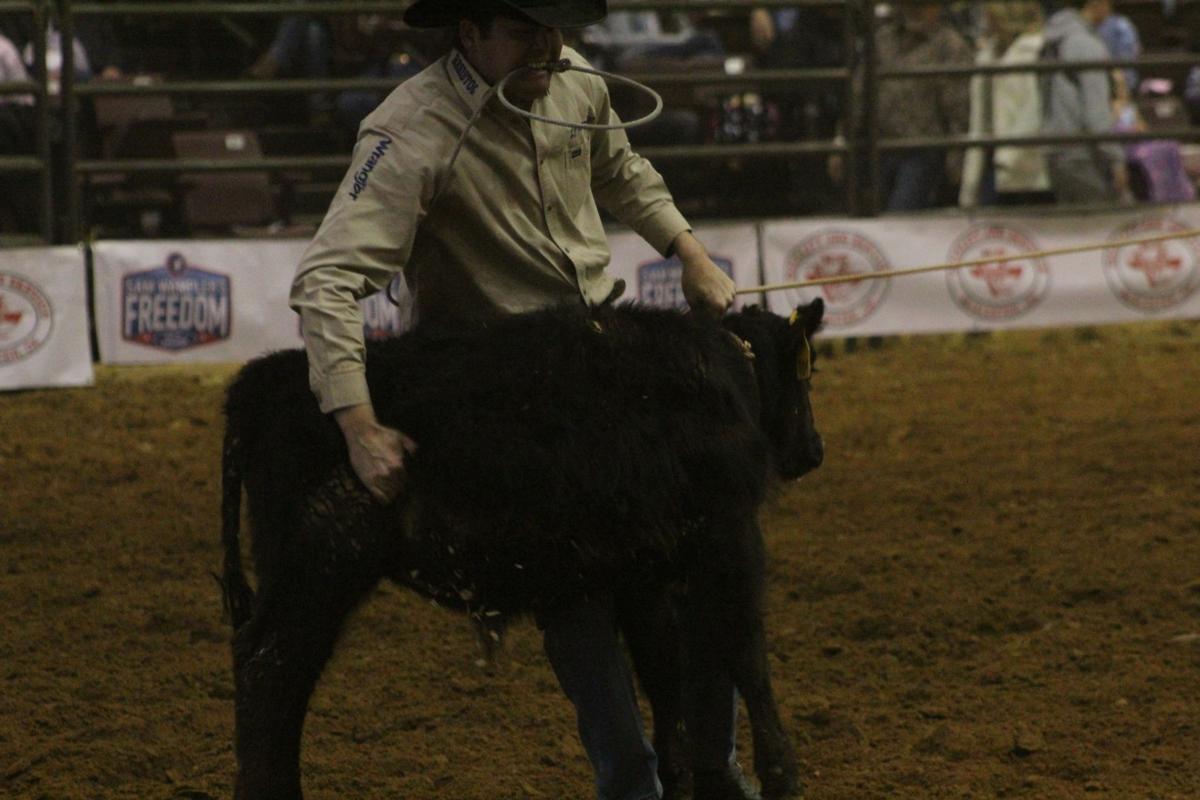 ProRodeo 11
