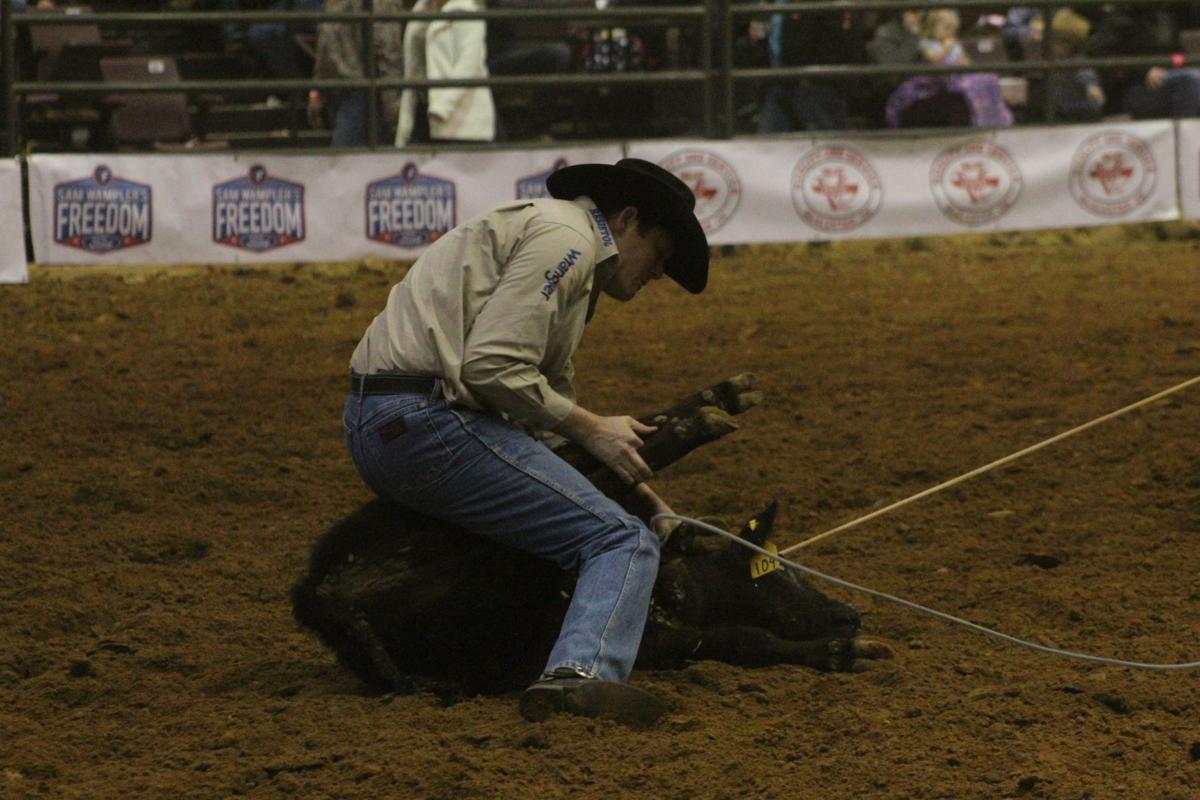 ProRodeo 12