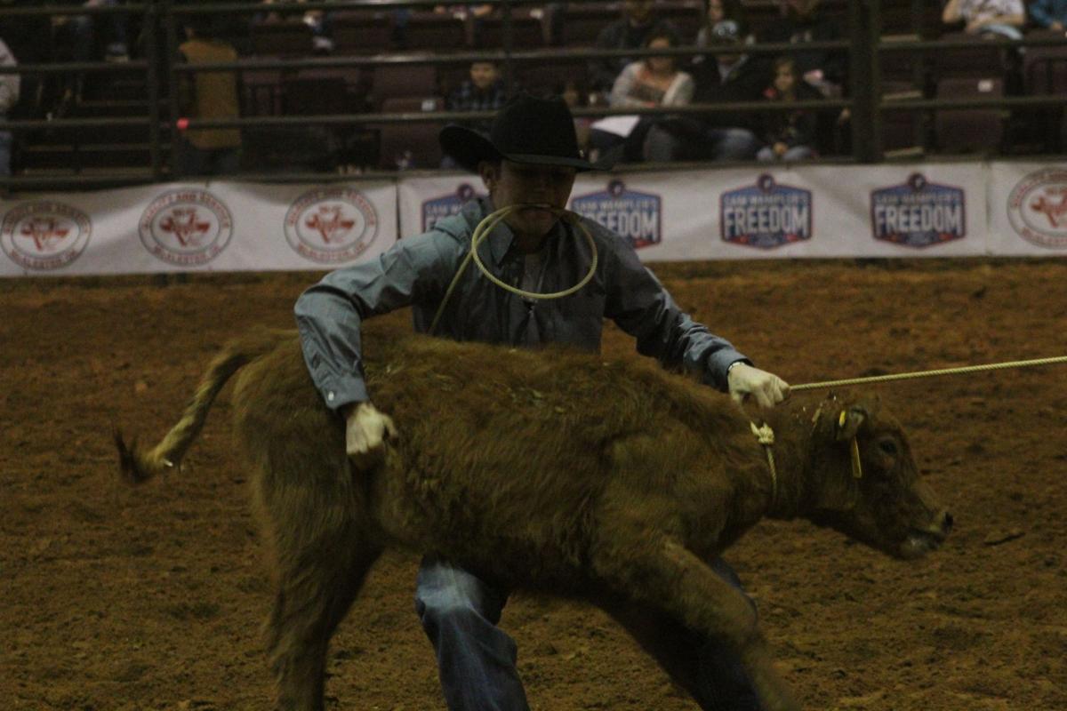 ProRodeo 13