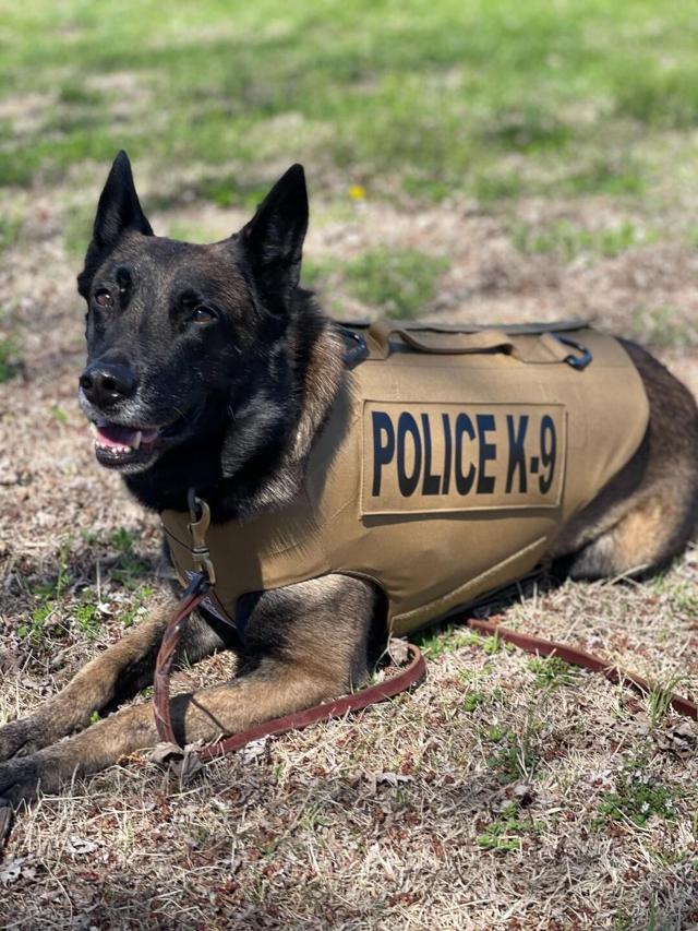 Savanna Police Department’s K9 Captain receives body armor News