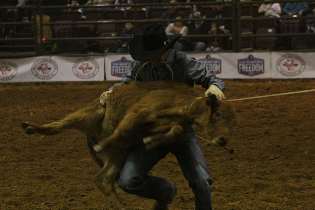 ProRodeo 14