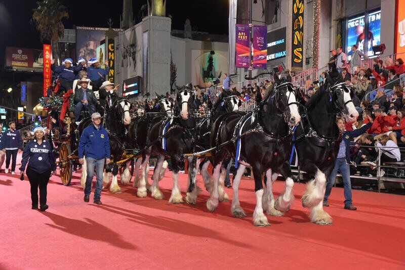 Christmas Parade Mcalester 2022 Special Team To Participate In Country Christmas Parade | Local News |  Mcalesternews.com