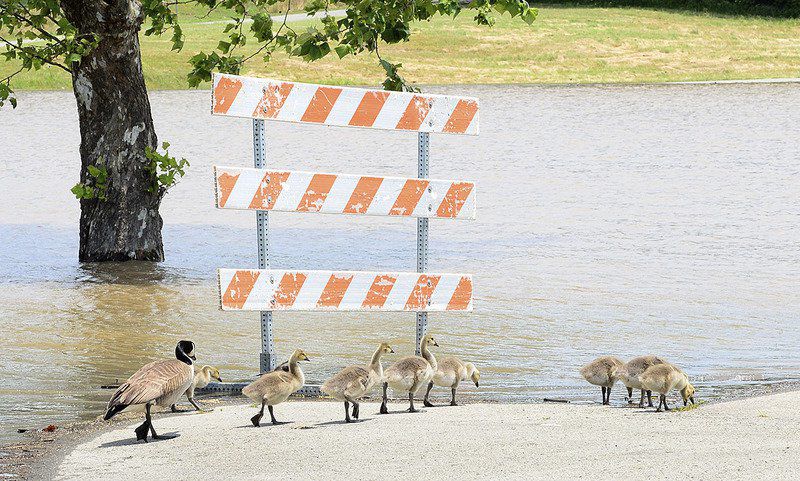 PHOTOS: A look at flooding around Lake Eufaula