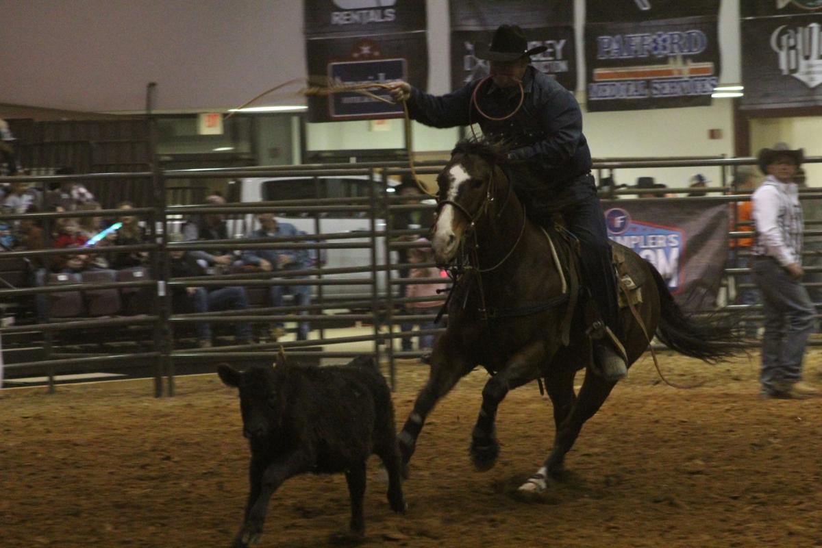 ProRodeo 15