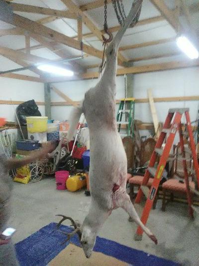 White buck harvested in Pittsburg County