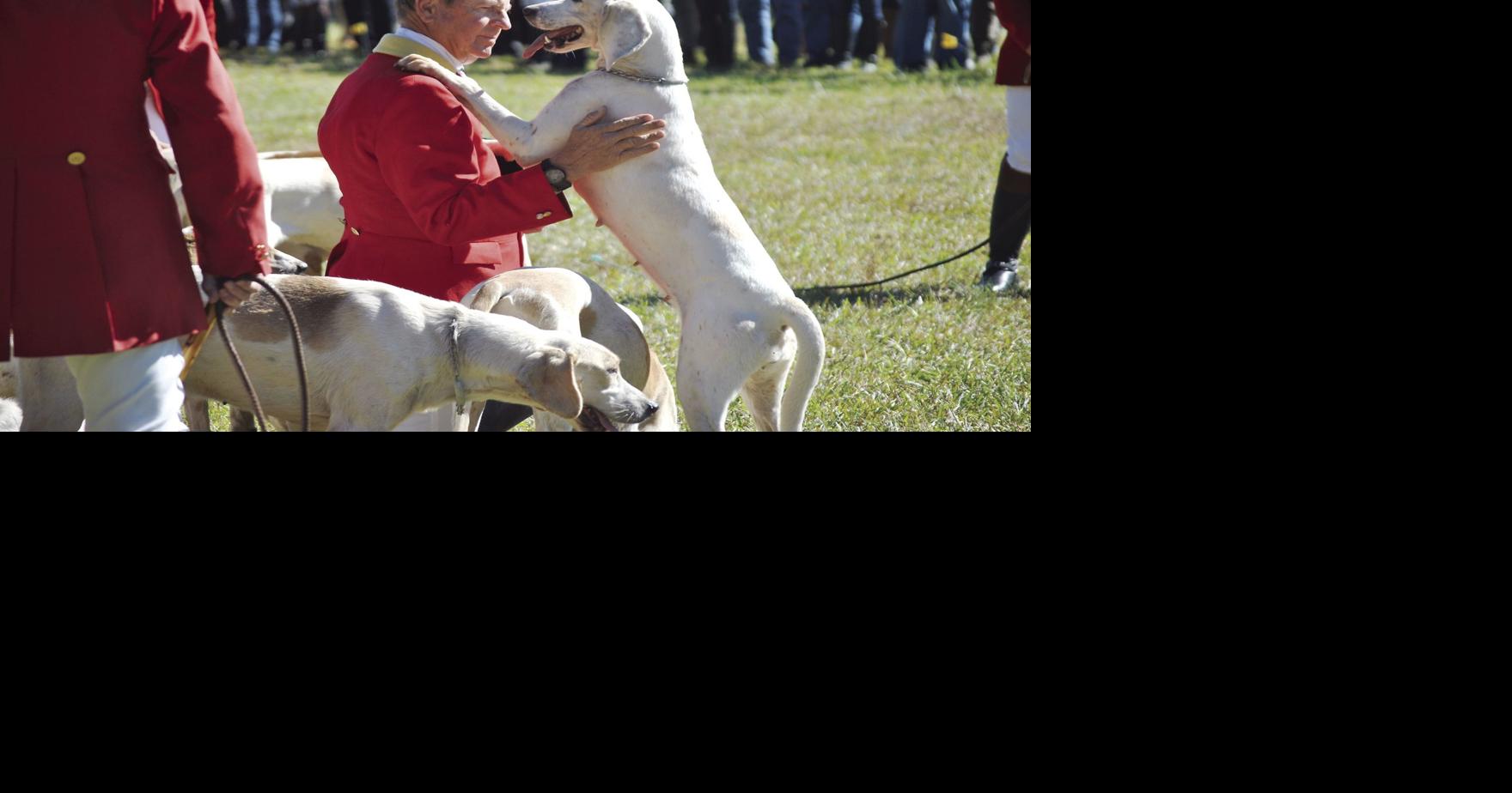 Belle Meade Hunt begins 53rd year News