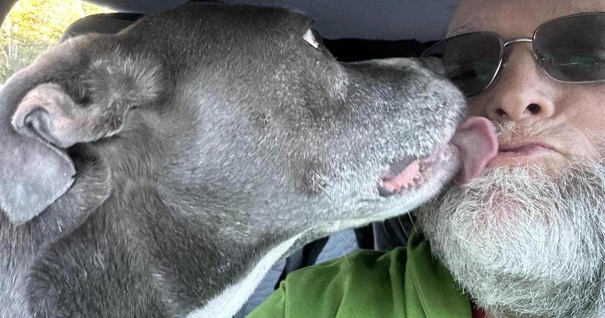 SPCA dari Hancock County menjadi tuan rumah tidur bagi hewan peliharaan tunawisma