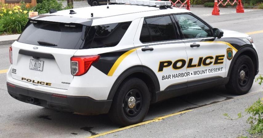 Island police week of 5.30.2024 - Vimarsana News