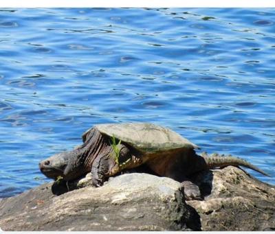 Nature | Nature | mdislander.com