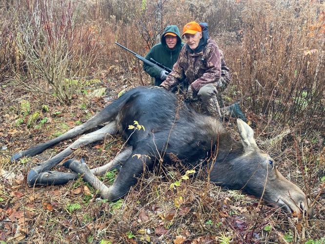 Doing the math on the moose hunt | | mdislander.com