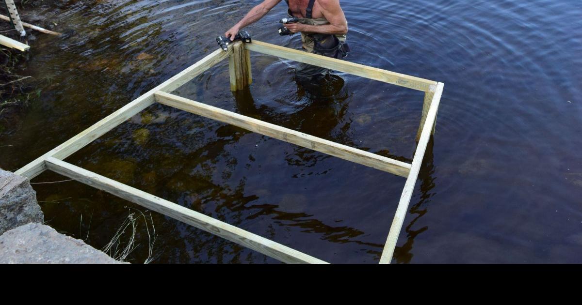Beaver Deceivers keep culverts clear and beavers breathing | News ...