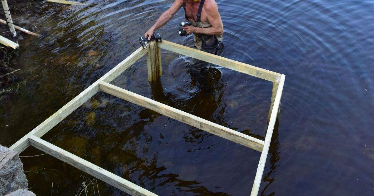 Beaver Deceivers keep culverts clear and beavers breathing | News ...