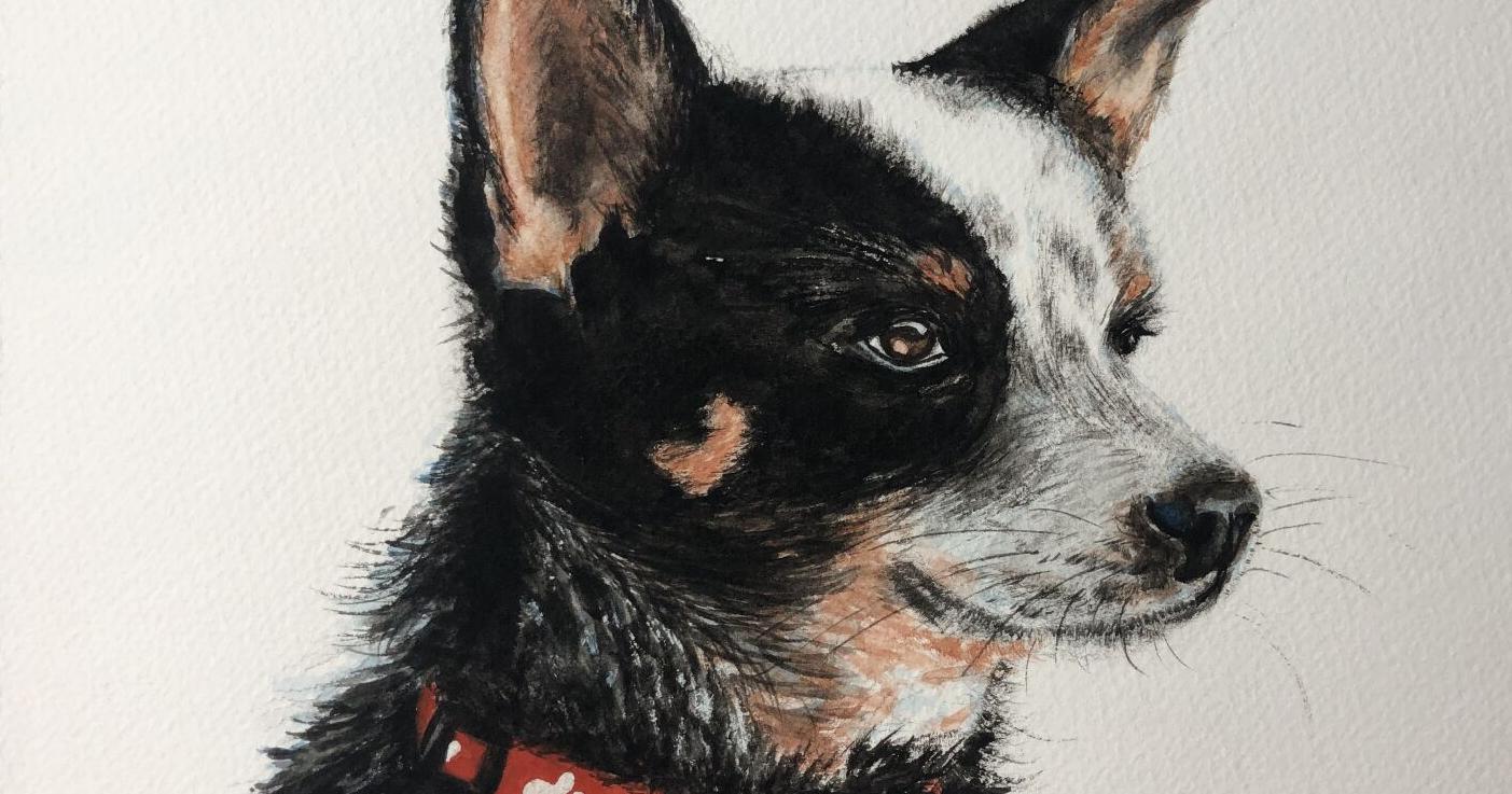Paint animal portraits at the Gilley June 28 - Vimarsana News