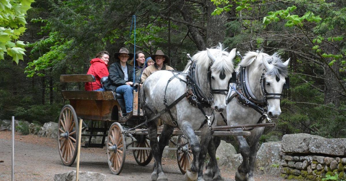 Carriage roads in Acadia National Park close for spring thaw - Vimarsana News