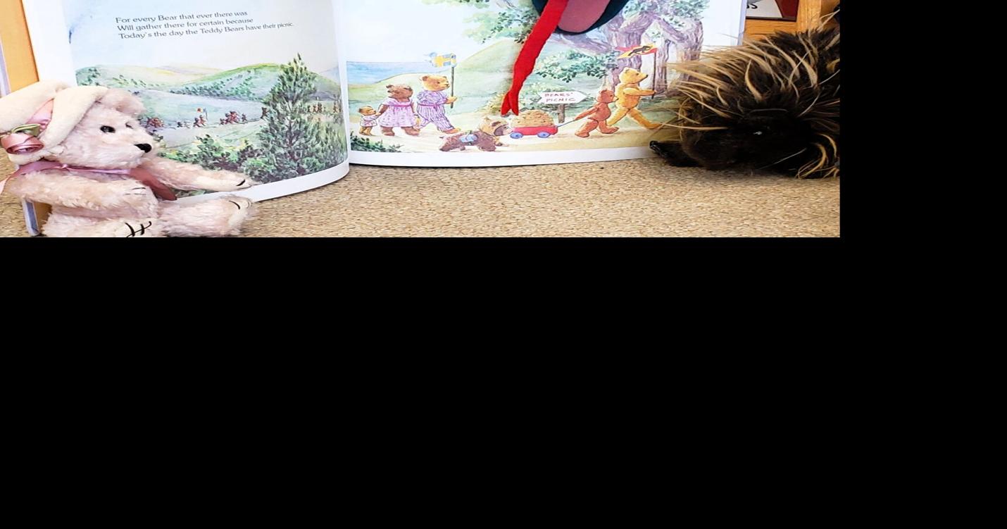 Library to hold 'stuffy' sleepover | Entertainment | mdislander.com