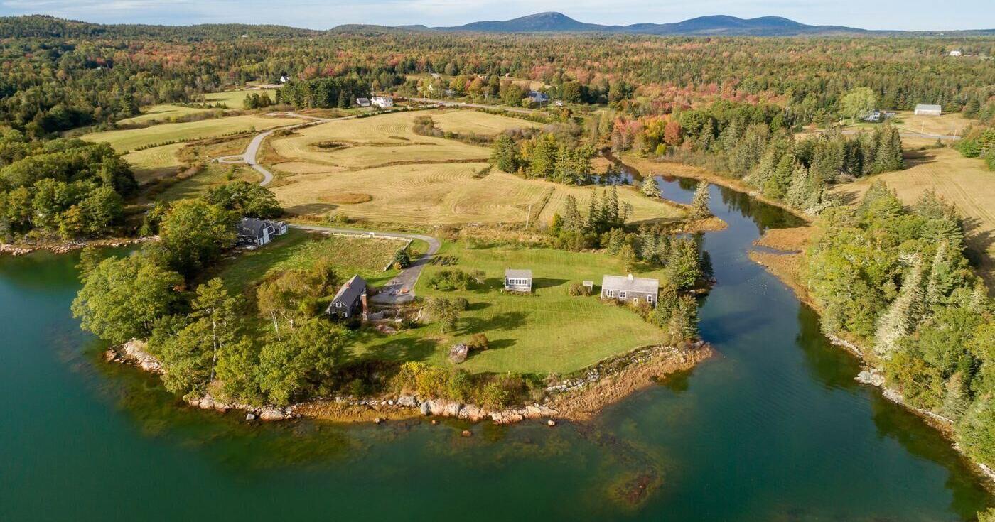 Swan Song a new beginning for longtime broker - Vimarsana News