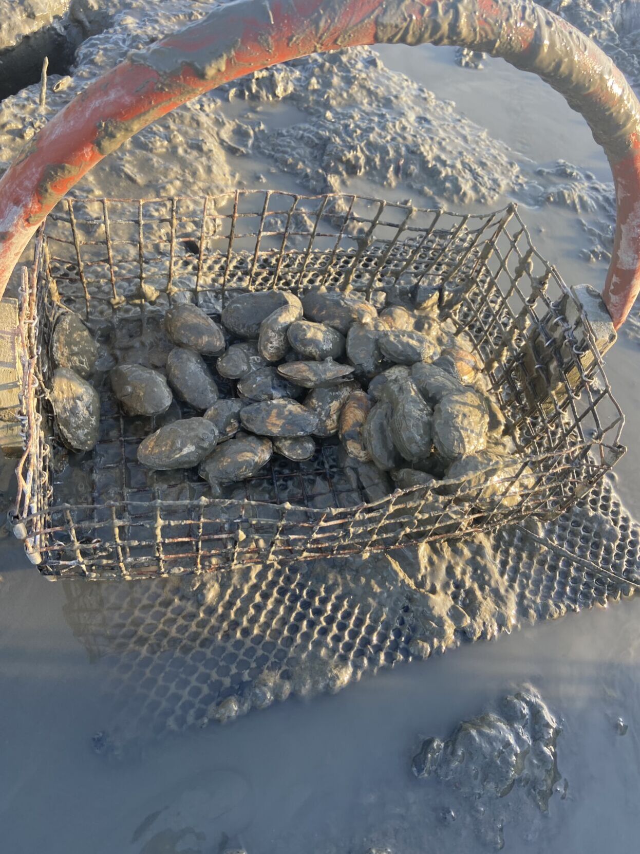 Topic: Don't use Crab Traps in West Australian waters.