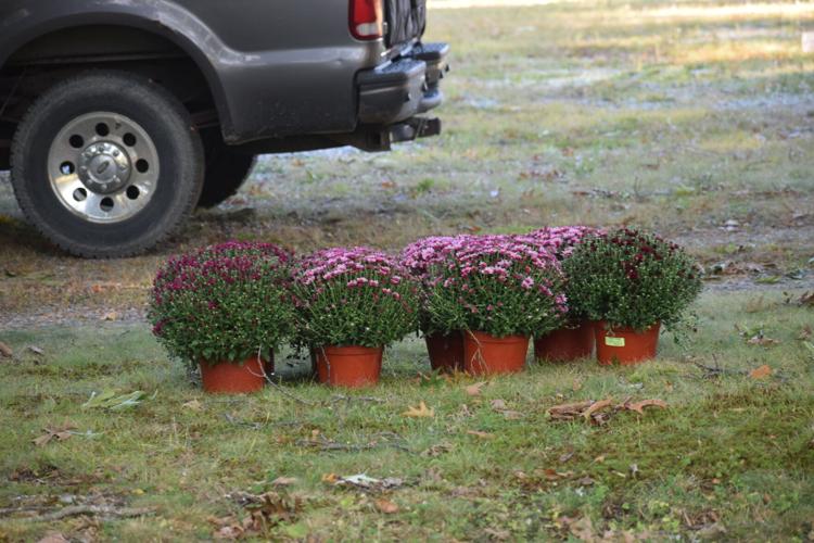 Town Hill VIS organizes cemetery cleanup | News | mdislander.com