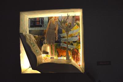 Shadow box show at MDIHS | Arts & Living | mdislander.com