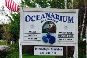 Oceanarium to become nonprofit education center
