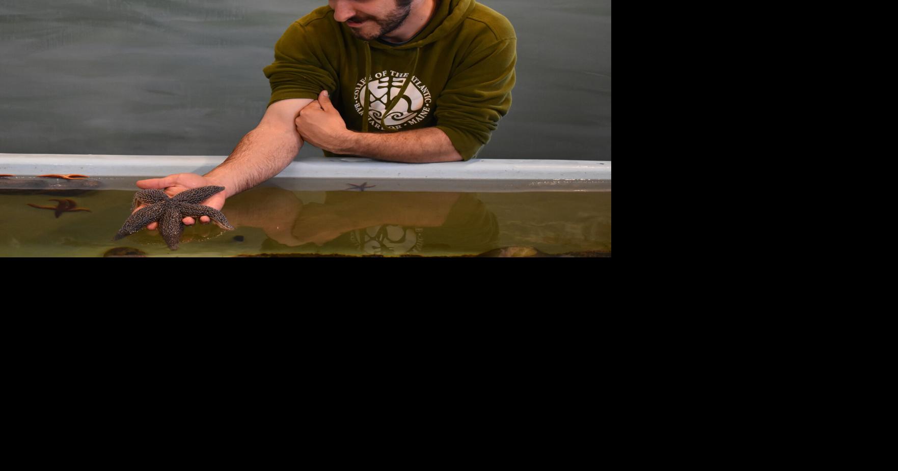 Oceanarium and Education Center opens on May 17 | Education ...