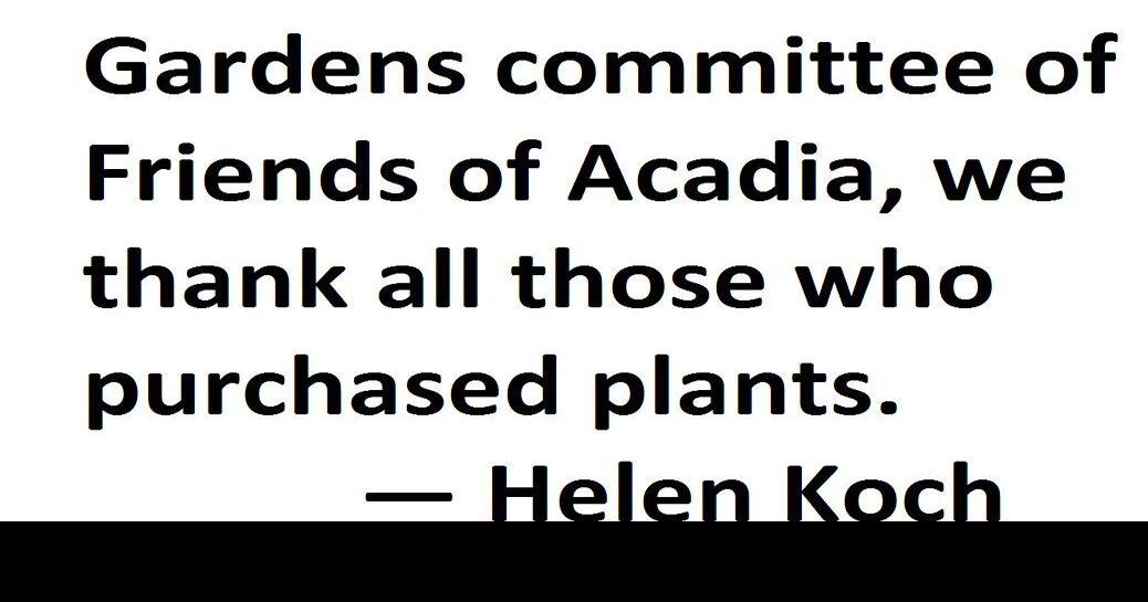 Botany lovers | Letters To Editor | mdislander.com
