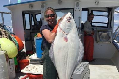 Are Maine halibut headed for trouble?, News