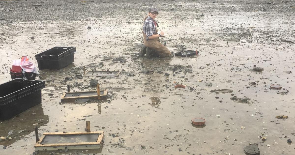 Who can use the intertidal zone? The state Supreme Court may decide - Vimarsana News